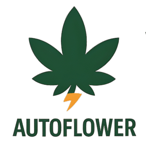 Autoflower