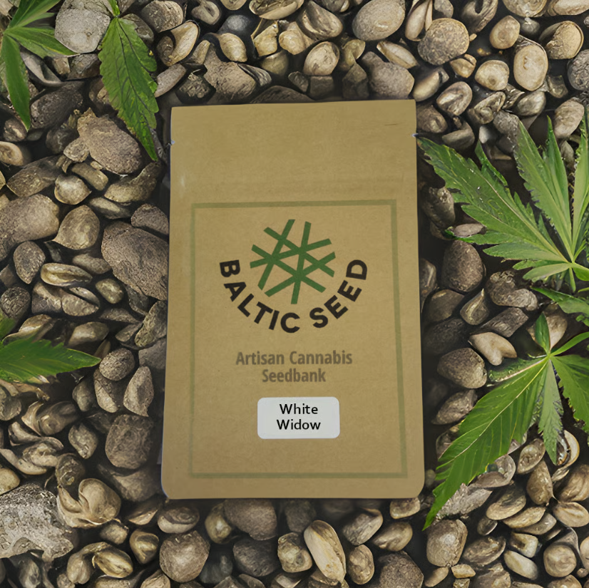 White Widow